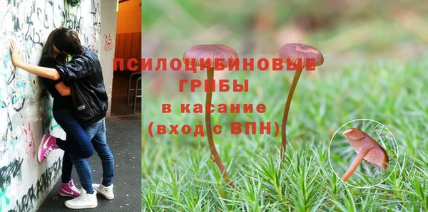 герыч Гусев