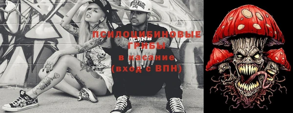 ешки Гусиноозёрск